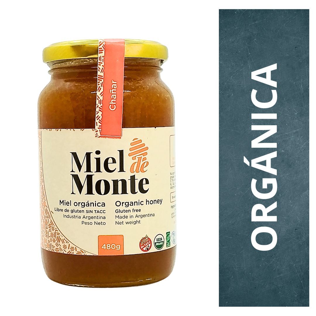 miel-organica-miel-de-monte-x-480-gr-chanar